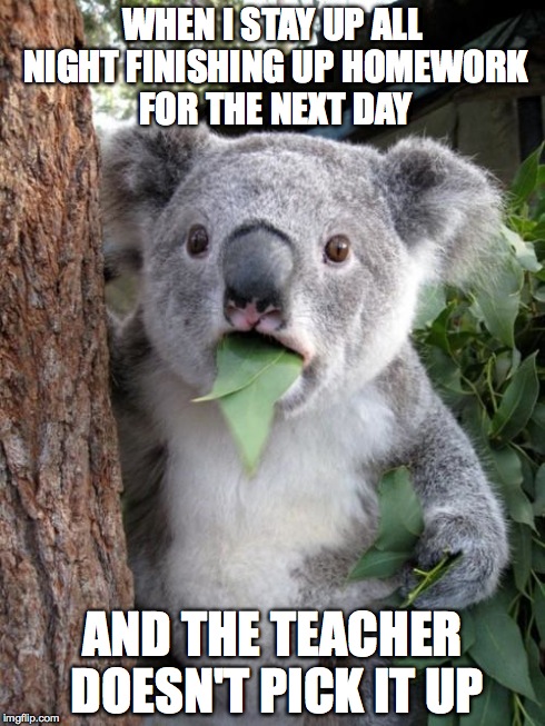 Surprised Koala | WHEN I STAY UP ALL NIGHT FINISHING UP HOMEWORK FOR THE NEXT DAY AND THE TEACHER DOESN'T PICK IT UP | image tagged in memes,surprised koala | made w/ Imgflip meme maker