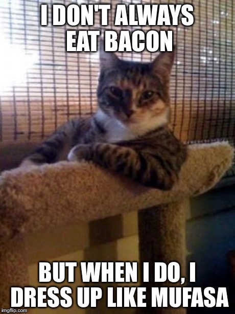 cats | I DON'T ALWAYS EAT BACON BUT WHEN I DO, I DRESS UP LIKE MUFASA | image tagged in cats | made w/ Imgflip meme maker