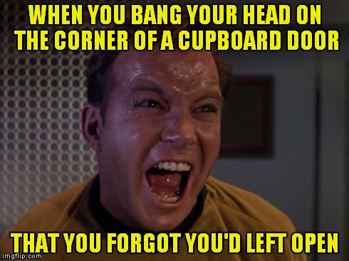 Kirk yelling 2 | WHEN YOU BANG YOUR HEAD ON THE CORNER OF A CUPBOARD DOOR THAT YOU FORGOT YOU'D LEFT OPEN | image tagged in kirk yelling 2,star trek | made w/ Imgflip meme maker