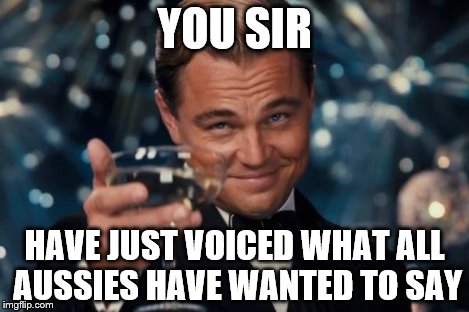 Leonardo Dicaprio Cheers Meme | YOU SIR HAVE JUST VOICED WHAT ALL AUSSIES HAVE WANTED TO SAY | image tagged in memes,leonardo dicaprio cheers | made w/ Imgflip meme maker