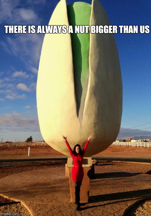What a Nut ! :) | THERE IS ALWAYS A NUT BIGGER THAN US | image tagged in pistachio,nut,huge,giant,farm,mcginn's pistachio tree ranch | made w/ Imgflip meme maker