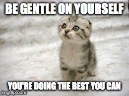 Sad Cat Meme - Imgflip, Be gentle on yourself