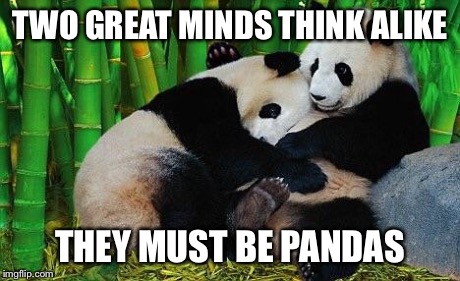 Dragrace pandas | TWO GREAT MINDS THINK ALIKE THEY MUST BE PANDAS | image tagged in dragrace pandas | made w/ Imgflip meme maker