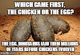 Chicken egg debate | WHICH CAME FIRST, THE CHICKEN OR THE EGG? THE EGG. DINOSAURS LAID THEM MILLIONS OF YEARS BEFORE CHICKENS EVOLVED | image tagged in chicken,dinosaur,egg,evolution | made w/ Imgflip meme maker