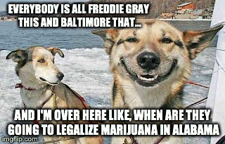 Original Stoner Dog Meme | EVERYBODY IS ALL FREDDIE GRAY THIS AND BALTIMORE THAT... AND I'M OVER HERE LIKE, WHEN ARE THEY GOING TO LEGALIZE MARIJUANA IN ALABAMA | image tagged in memes,original stoner dog | made w/ Imgflip meme maker