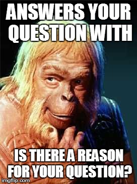 ANSWERS YOUR QUESTION WITH IS THERE A REASON FOR YOUR QUESTION? | image tagged in dr zaius,smug dr zaius | made w/ Imgflip meme maker