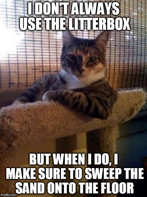Most cats in a nutshell | I DON'T ALWAYS USE THE LITTERBOX BUT WHEN I DO, I MAKE SURE TO SWEEP THE SAND ONTO THE FLOOR | image tagged in memes,the most interesting cat in the world | made w/ Imgflip meme maker