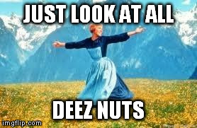 Look At All These | JUST LOOK AT ALL DEEZ NUTS | image tagged in memes,look at all these | made w/ Imgflip meme maker
