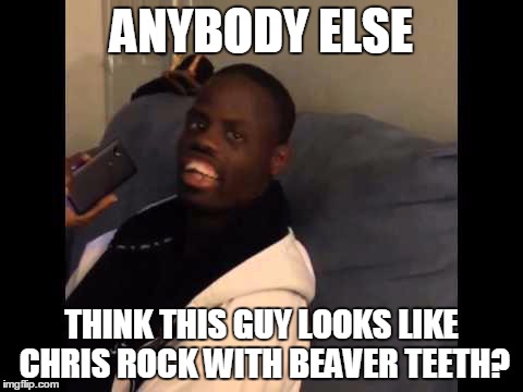 Like srsly. | ANYBODY ELSE THINK THIS GUY LOOKS LIKE CHRIS ROCK WITH BEAVER TEETH? | image tagged in welven da great | made w/ Imgflip meme maker