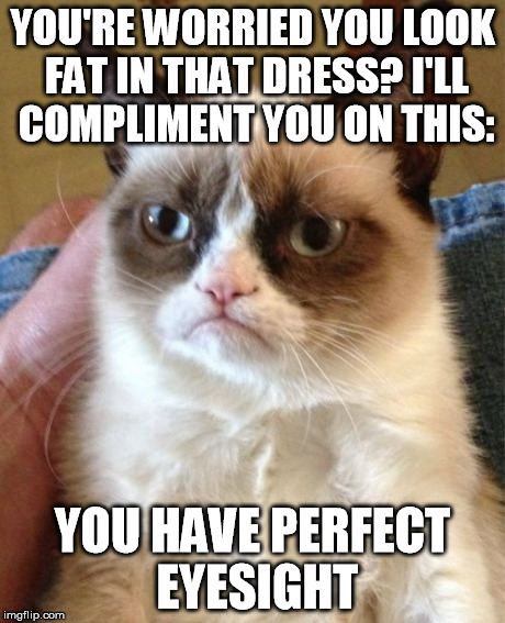 Grumpy Cat | YOU'RE WORRIED YOU LOOK FAT IN THAT DRESS? I'LL COMPLIMENT YOU ON THIS: YOU HAVE PERFECT EYESIGHT | image tagged in memes,grumpy cat | made w/ Imgflip meme maker