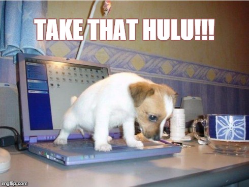 TAKE THAT HULU!!! | image tagged in dog on computer,hulu | made w/ Imgflip meme maker