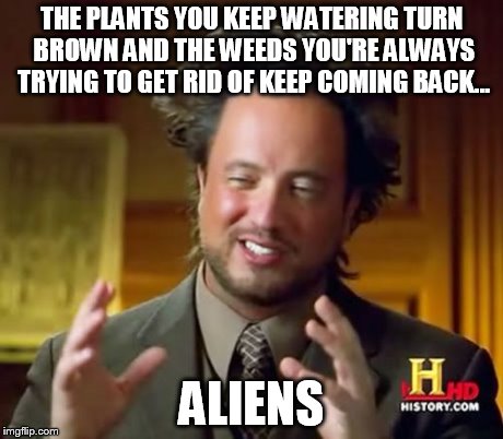 Ancient Aliens | THE PLANTS YOU KEEP WATERING TURN BROWN AND THE WEEDS YOU'RE ALWAYS TRYING TO GET RID OF KEEP COMING BACK... ALIENS | image tagged in memes,ancient aliens | made w/ Imgflip meme maker