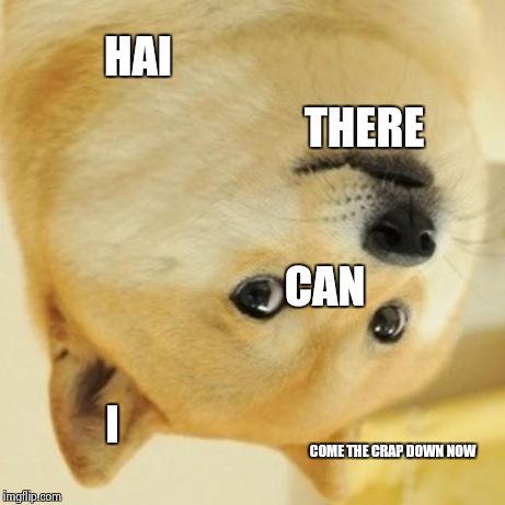 Doge Meme | HAI THERE CAN I COME THE CRAP DOWN NOW | image tagged in memes,doge | made w/ Imgflip meme maker