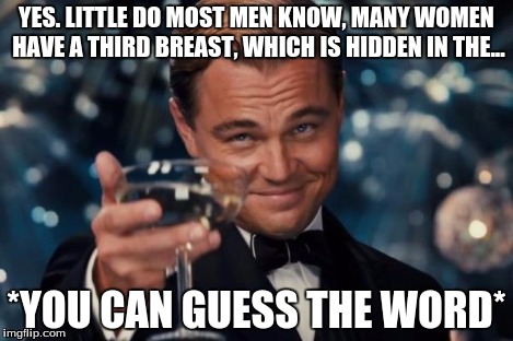 Leonardo Dicaprio Cheers Meme | YES. LITTLE DO MOST MEN KNOW, MANY WOMEN HAVE A THIRD BREAST, WHICH IS HIDDEN IN THE... *YOU CAN GUESS THE WORD* | image tagged in memes,leonardo dicaprio cheers | made w/ Imgflip meme maker