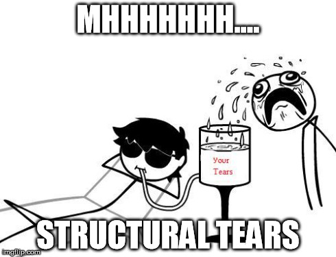 Your tears meme | MHHHHHHH.... STRUCTURAL TEARS | image tagged in your tears meme | made w/ Imgflip meme maker