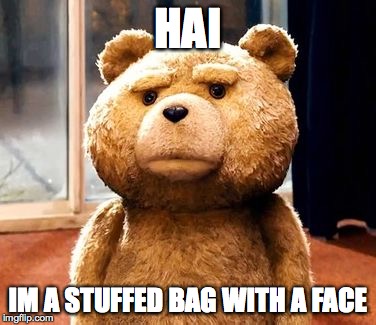 TED | HAI IM A STUFFED BAG WITH A FACE | image tagged in memes,ted | made w/ Imgflip meme maker