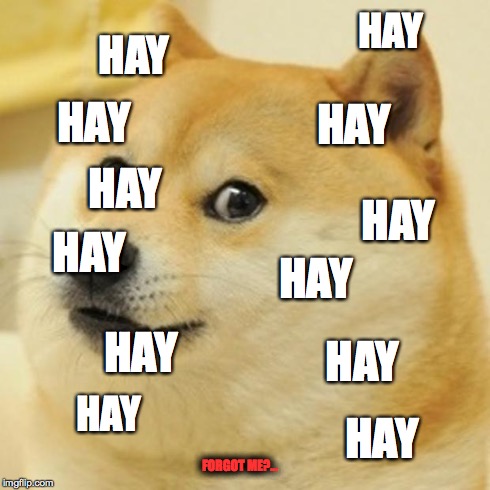 Doge Meme | HAY HAY HAY HAY HAY HAY HAY HAY HAY HAY HAY HAY FORGOT ME?... | image tagged in memes,doge | made w/ Imgflip meme maker