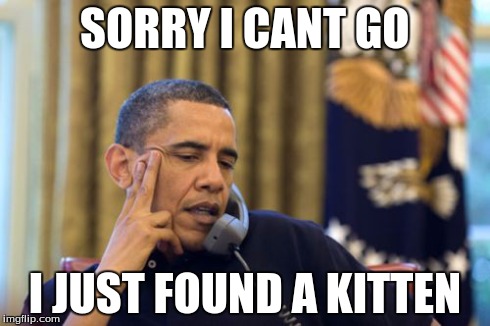 No I Can't Obama Meme | SORRY I CANT GO I JUST FOUND A KITTEN | image tagged in memes,no i cant obama | made w/ Imgflip meme maker