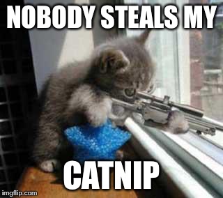 CatSniper | NOBODY STEALS MY CATNIP | image tagged in catsniper | made w/ Imgflip meme maker
