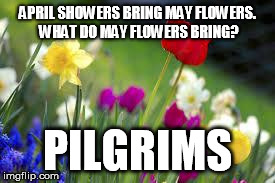 flowers | APRIL SHOWERS BRING MAY FLOWERS. WHAT DO MAY FLOWERS BRING? PILGRIMS | image tagged in flowers | made w/ Imgflip meme maker