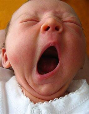 High Quality baby yawn Blank Meme Template