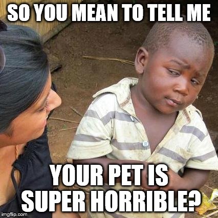 Third World Skeptical Kid Meme | SO YOU MEAN TO TELL ME YOUR PET IS SUPER HORRIBLE? | image tagged in memes,third world skeptical kid | made w/ Imgflip meme maker