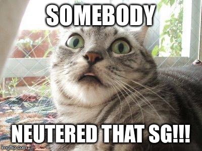 shocked cat | SOMEBODY NEUTERED THAT SG!!! | image tagged in shocked cat | made w/ Imgflip meme maker