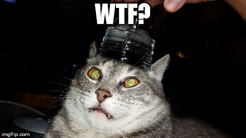 WTF? | made w/ Imgflip meme maker