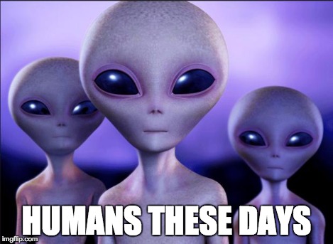 Humans These Days | HUMANS THESE DAYS | image tagged in humans these days | made w/ Imgflip meme maker