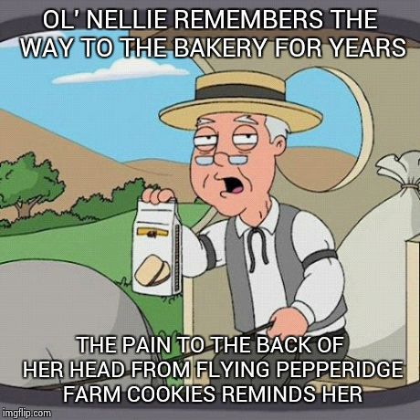 and good for you | OL' NELLIE REMEMBERS THE WAY TO THE BAKERY FOR YEARS THE PAIN TO THE BACK OF HER HEAD FROM FLYING PEPPERIDGE FARM COOKIES REMINDS HER | image tagged in memes,pepperidge farm remembers | made w/ Imgflip meme maker