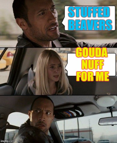 The Rock Driving Meme | STUFFED BEAVERS GOUDA NUFF FOR ME | image tagged in memes,the rock driving | made w/ Imgflip meme maker