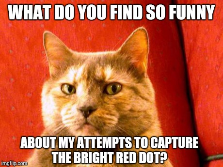 Suspicious Cat | WHAT DO YOU FIND SO FUNNY ABOUT MY ATTEMPTS TO CAPTURE THE BRIGHT RED DOT? | image tagged in memes,suspicious cat | made w/ Imgflip meme maker