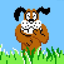 DUCK HUNT DOG LAUGHS AT YOUR STUPIDITY Blank Meme Template