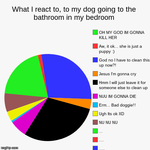 What I react to, to my dog going to the bathroom in my bedroom Imgflip
