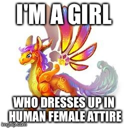 I'M A GIRL WHO DRESSES UP IN HUMAN FEMALE ATTIRE | image tagged in sunset dragon | made w/ Imgflip meme maker