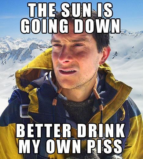 image tagged in funny,bear grylls