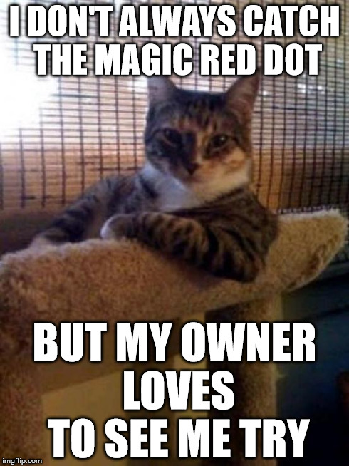 The Most Interesting Cat In The World | I DON'T ALWAYS CATCH THE MAGIC RED DOT BUT MY OWNER LOVES TO SEE ME TRY | image tagged in memes,the most interesting cat in the world | made w/ Imgflip meme maker