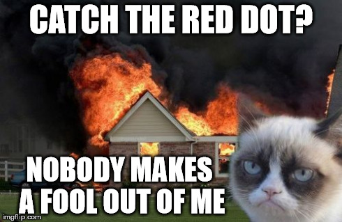 Burn Kitty Meme | CATCH THE RED DOT? NOBODY MAKES A FOOL OUT OF ME | image tagged in memes,burn kitty | made w/ Imgflip meme maker