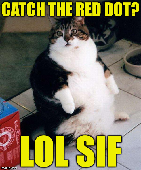 fat cat | CATCH THE RED DOT? LOL SIF | image tagged in fat cat | made w/ Imgflip meme maker