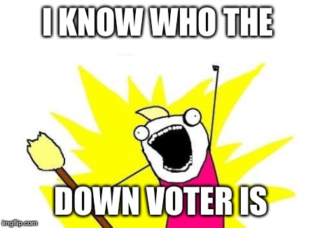 X All The Y Meme | I KNOW WHO THE DOWN VOTER IS | image tagged in memes,x all the y | made w/ Imgflip meme maker