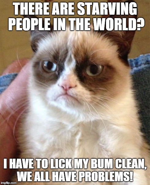 Grumpy Cat Meme | THERE ARE STARVING PEOPLE IN THE WORLD? I HAVE TO LICK MY BUM CLEAN, WE ALL HAVE PROBLEMS! | image tagged in memes,grumpy cat | made w/ Imgflip meme maker