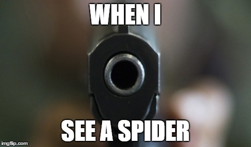 so true XD | WHEN I SEE A SPIDER | image tagged in spiders,pewpew,ihatespiders | made w/ Imgflip meme maker