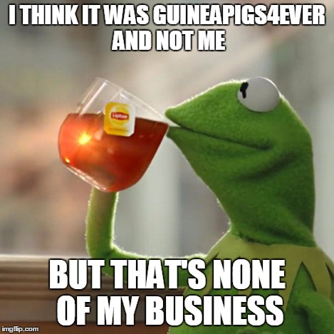 But That's None Of My Business Meme | I THINK IT WAS GUINEAPIGS4EVER AND NOT ME BUT THAT'S NONE OF MY BUSINESS | image tagged in memes,but thats none of my business,kermit the frog | made w/ Imgflip meme maker