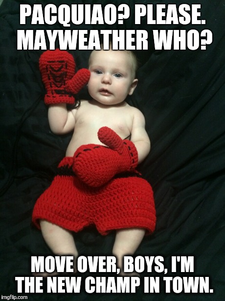PACQUIAO? PLEASE. MAYWEATHER WHO? MOVE OVER, BOYS, I'M THE NEW CHAMP IN TOWN. | image tagged in boxing | made w/ Imgflip meme maker