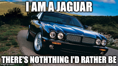 Jaguar Catch Phrase | I AM A JAGUAR THERE'S NOTHTHING I'D RATHER BE | image tagged in cars | made w/ Imgflip meme maker