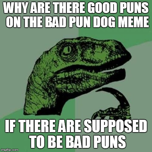 Philosoraptor | WHY ARE THERE GOOD PUNS ON THE BAD PUN DOG MEME IF THERE ARE SUPPOSED TO BE BAD PUNS | image tagged in memes,philosoraptor | made w/ Imgflip meme maker