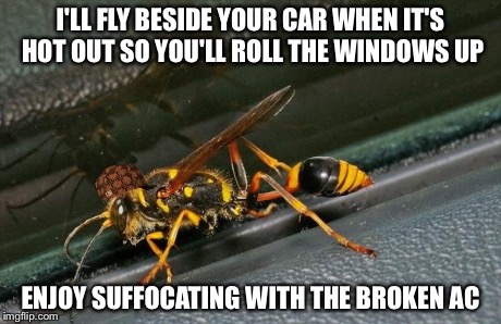 Waiting Wasp | I'LL FLY BESIDE YOUR CAR WHEN IT'S HOT OUT SO YOU'LL ROLL THE WINDOWS UP ENJOY SUFFOCATING WITH THE BROKEN AC | image tagged in waiting wasp,scumbag,funny memes,memes,funny | made w/ Imgflip meme maker