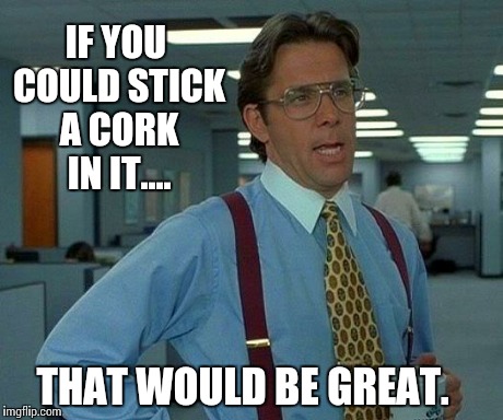 That Would Be Great Meme | IF YOU COULD STICK A CORK IN IT.... THAT WOULD BE GREAT. | image tagged in memes,that would be great | made w/ Imgflip meme maker