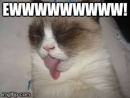 ewwwww | EWWWWWWWWW! | image tagged in grumpy cat,tongue,gross,lol,skills | made w/ Imgflip meme maker