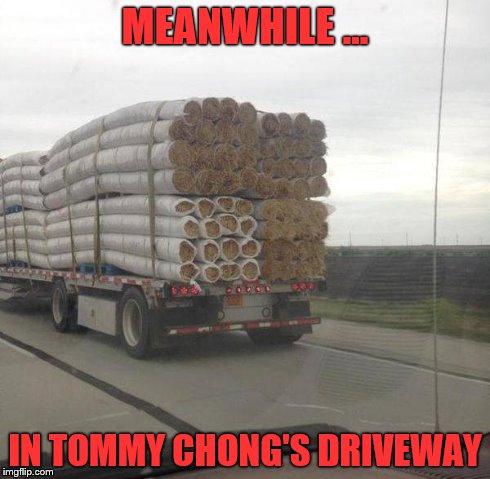 I get high with a little help from my friends . . . | MEANWHILE ... IN TOMMY CHONG'S DRIVEWAY | image tagged in marijuana,cheech and chong | made w/ Imgflip meme maker
